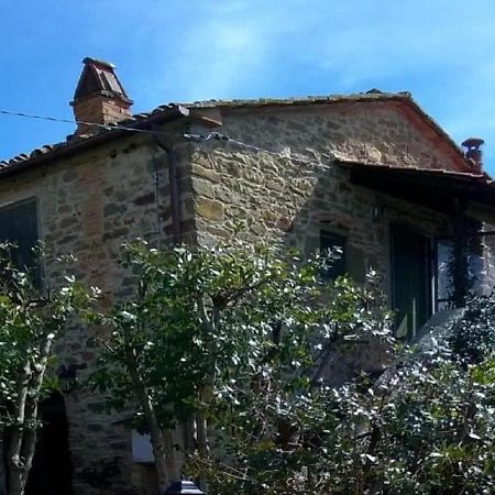 Ambra La Cuccia - La Villa-San Pacrazio المظهر الخارجي الصورة