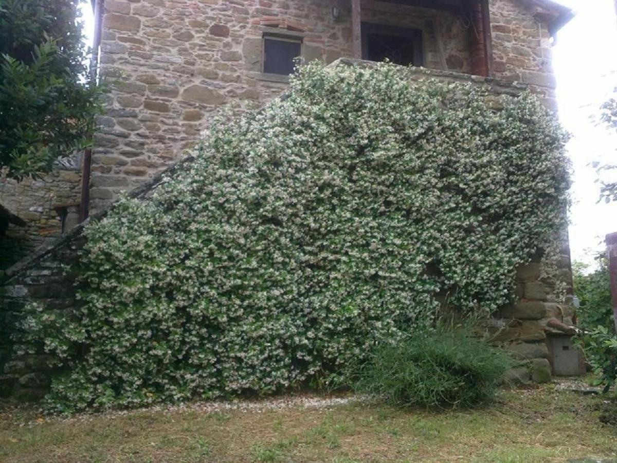 Ambra La Cuccia - La Villa-San Pacrazio المظهر الخارجي الصورة