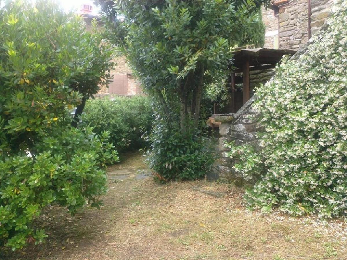 Ambra La Cuccia - La Villa-San Pacrazio المظهر الخارجي الصورة