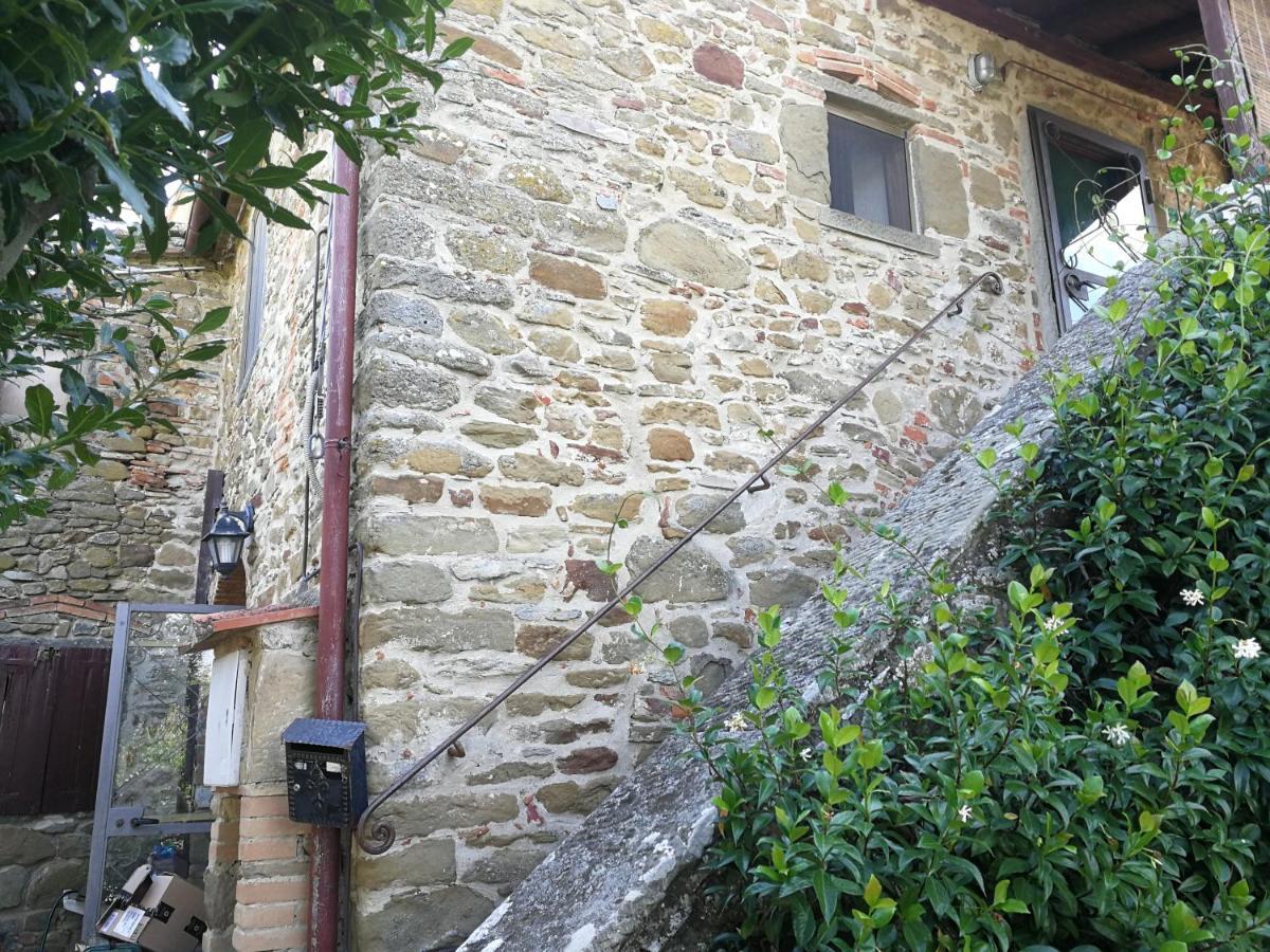 Ambra La Cuccia - La Villa-San Pacrazio المظهر الخارجي الصورة