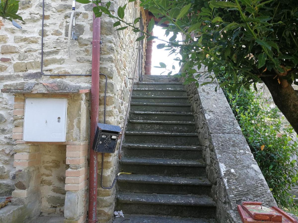 Ambra La Cuccia - La Villa-San Pacrazio المظهر الخارجي الصورة