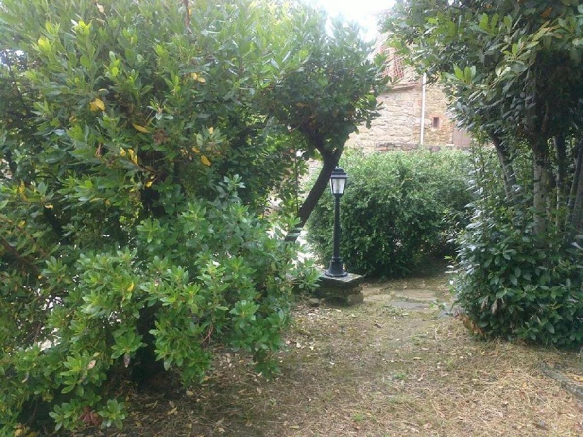 Ambra La Cuccia - La Villa-San Pacrazio المظهر الخارجي الصورة